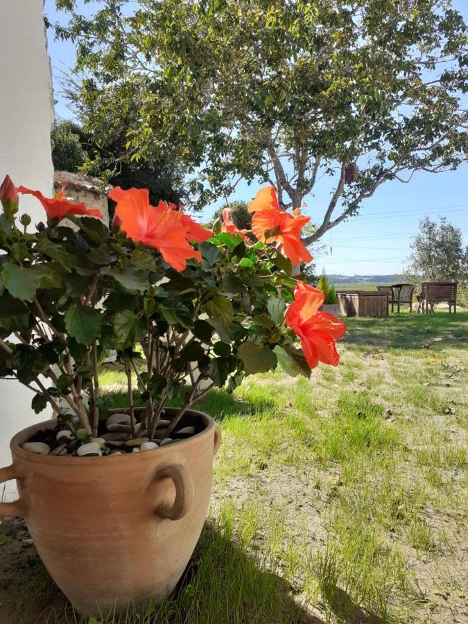 ***** Quinta Do Por Do Sol ***** Apartment Figueira da Foz Bagian luar foto