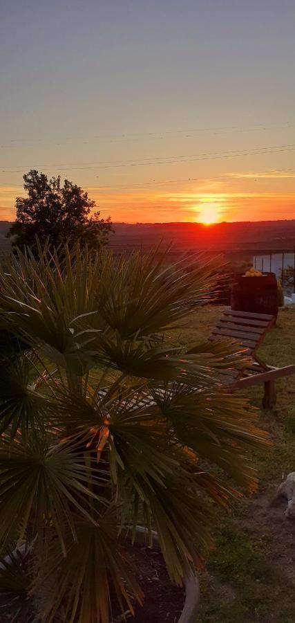 ***** Quinta Do Por Do Sol ***** Apartment Figueira da Foz Bagian luar foto